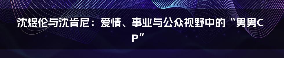 沈煜伦与沈肯尼：爱情、事业与公众视野中的“男男CP”