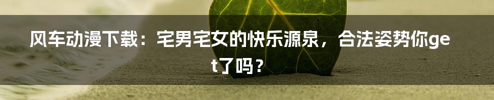 风车动漫下载：宅男宅女的快乐源泉，合法姿势你get了吗？