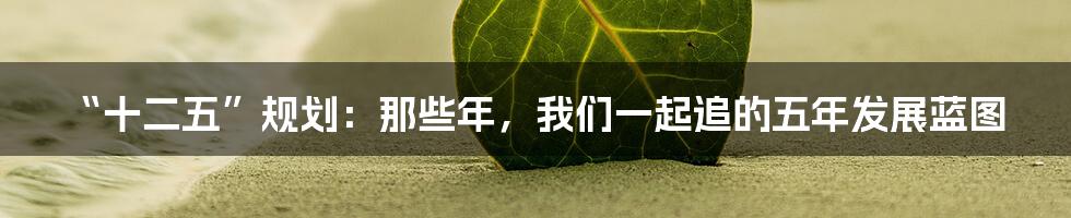“十二五”规划：那些年，我们一起追的五年发展蓝图