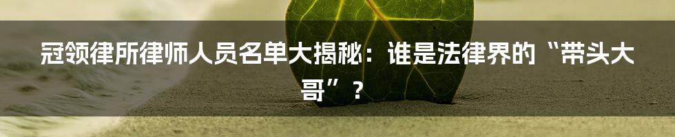 冠领律所律师人员名单大揭秘：谁是法律界的“带头大哥”？