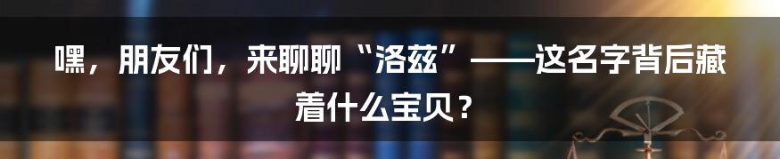 嘿,朋友们,来聊聊“洛兹”——这名字背后藏着什么宝贝?