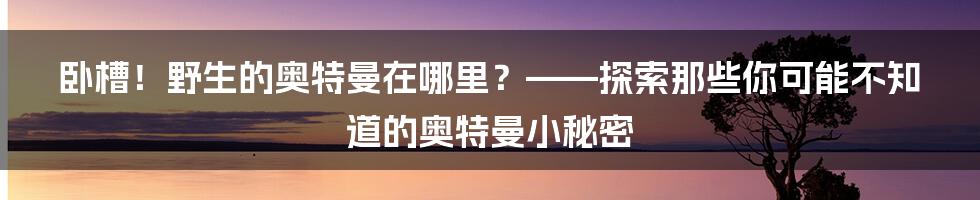 卧槽！野生的奥特曼在哪里？——探索那些你可能不知道的奥特曼小秘密