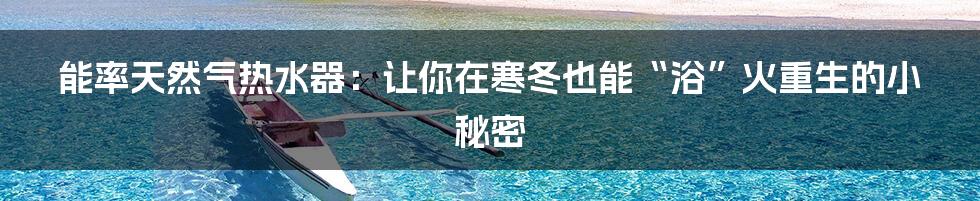 能率天然气热水器：让你在寒冬也能“浴”火重生的小秘密