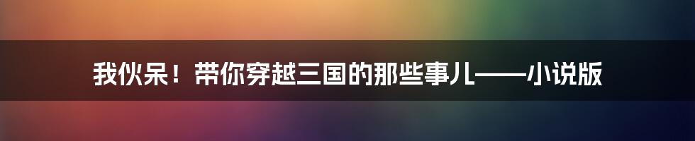 我伙呆！带你穿越三国的那些事儿——小说版