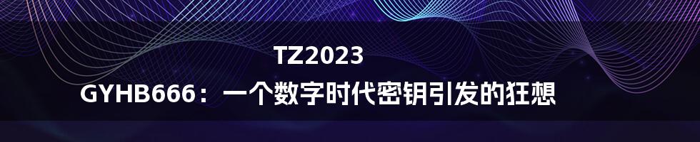 TZ2023 GYHB666：一个数字时代密钥引发的狂想