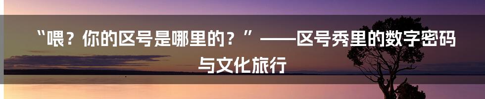 “喂？你的区号是哪里的？”——区号秀里的数字密码与文化旅行