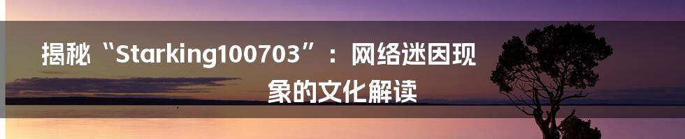 揭秘“Starking100703”:网络迷因现象的文化解读