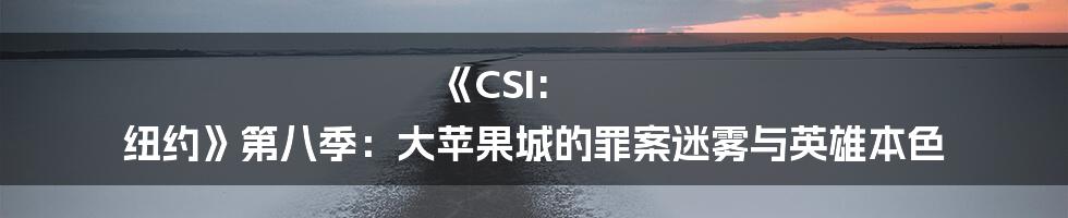 《CSI: 纽约》第八季：大苹果城的罪案迷雾与英雄本色