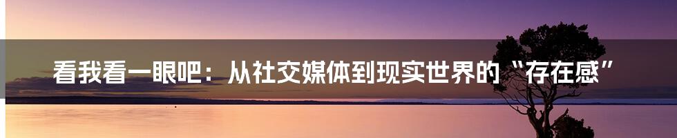看我看一眼吧：从社交媒体到现实世界的“存在感”