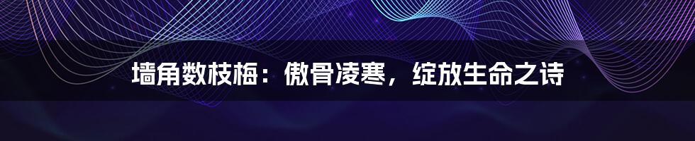 墙角数枝梅：傲骨凌寒，绽放生命之诗