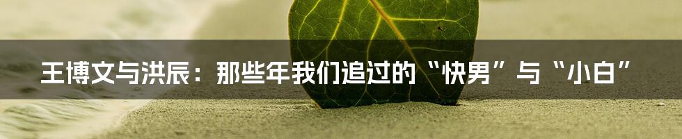 王博文与洪辰：那些年我们追过的“快男”与“小白”