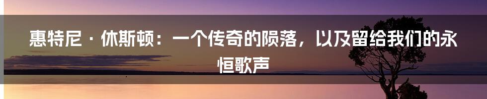 惠特尼·休斯顿：一个传奇的陨落，以及留给我们的永恒歌声