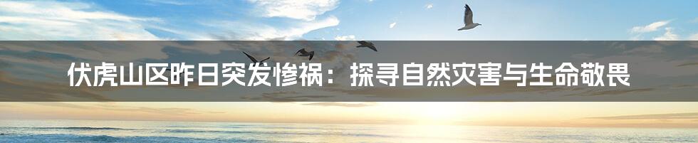 伏虎山区昨日突发惨祸：探寻自然灾害与生命敬畏