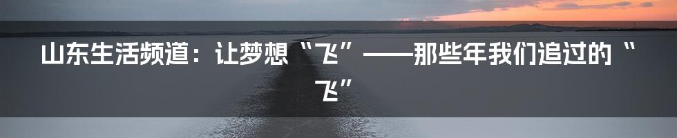 山东生活频道：让梦想“飞”——那些年我们追过的“飞”