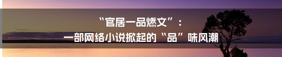 “官居一品燃文”： 一部网络小说掀起的“品”味风潮