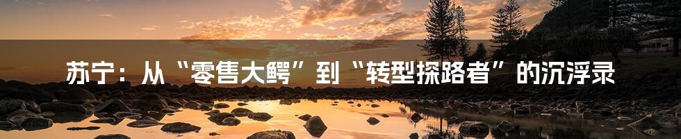 苏宁:从“零售大鳄”到“转型探路者”的沉浮录