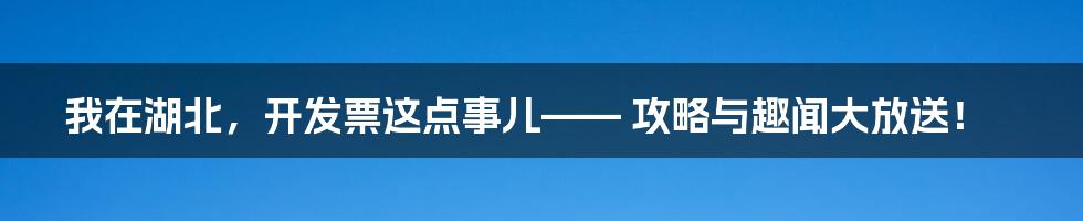我在湖北，开发票这点事儿—— 攻略与趣闻大放送！