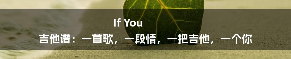 If You 吉他谱:一首歌,一段情,一把吉他,一个你