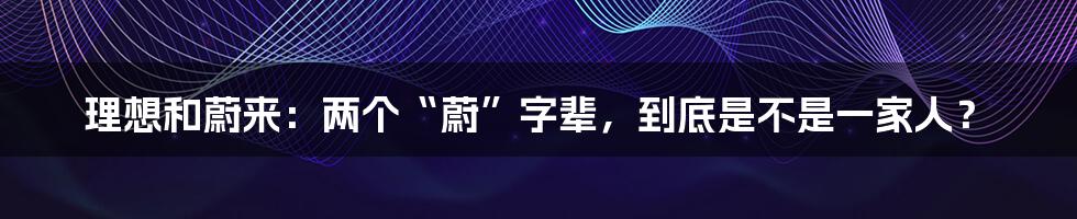 理想和蔚来:两个“蔚”字辈,到底是不是一家人?