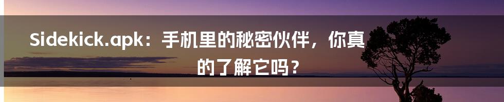 Sidekick.apk：手机里的秘密伙伴，你真的了解它吗？