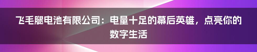 飞毛腿电池有限公司：电量十足的幕后英雄，点亮你的数字生活