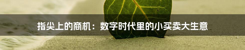 指尖上的商机：数字时代里的小买卖大生意