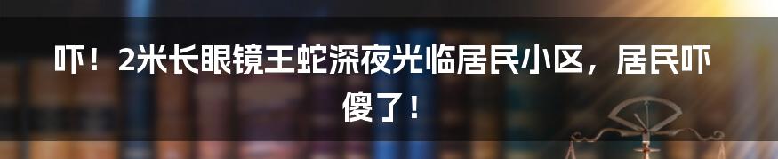 吓!2米长眼镜王蛇深夜光临居民小区,居民吓傻了!