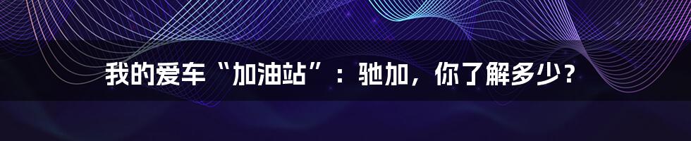 我的爱车“加油站”：驰加，你了解多少？
