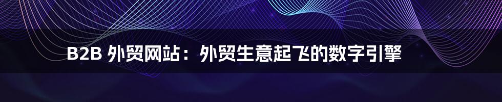 B2B 外贸网站:外贸生意起飞的数字引擎