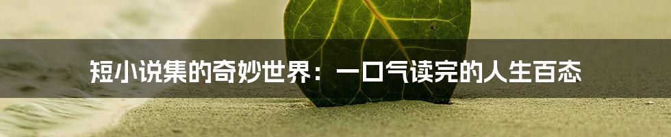 短小说集的奇妙世界:一口气读完的人生百态