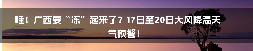 哇!广西要“冻”起来了?17日至20日大风降温天气预警!