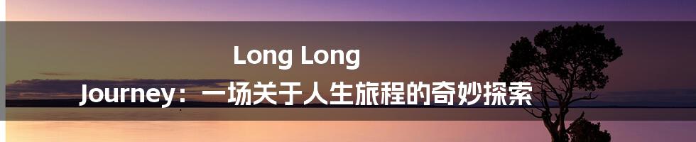 Long Long Journey：一场关于人生旅程的奇妙探索