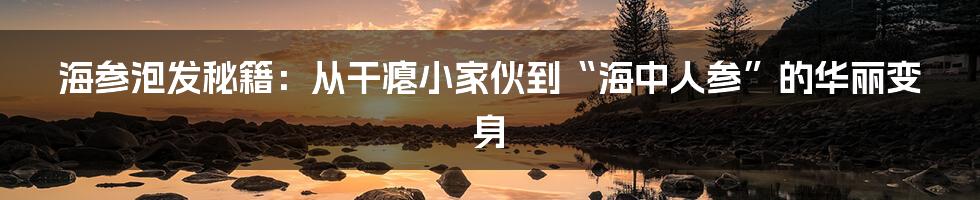海参泡发秘籍:从干瘪小家伙到“海中人参”的华丽变身
