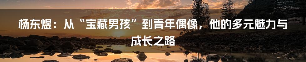 杨东煜:从“宝藏男孩”到青年偶像,他的多元魅力与成长之路