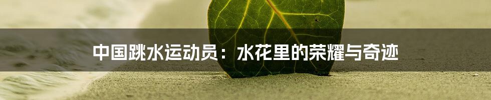 中国跳水运动员：水花里的荣耀与奇迹