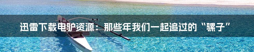 迅雷下载电驴资源：那些年我们一起追过的“骡子”