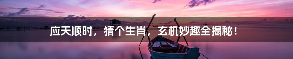 应天顺时,猜个生肖,玄机妙趣全揭秘!