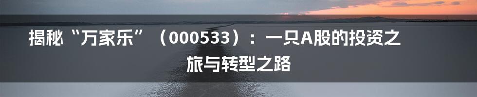 揭秘“万家乐”(000533):一只A股的投资之旅与转型之路