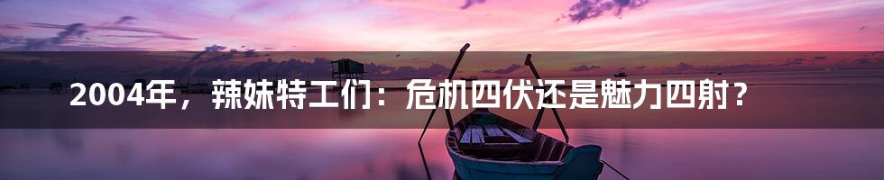 2004年,辣妹特工们:危机四伏还是魅力四射?
