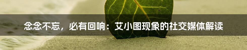 念念不忘，必有回响：艾小图现象的社交媒体解读