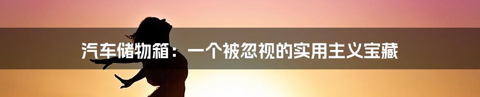 汽车储物箱：一个被忽视的实用主义宝藏