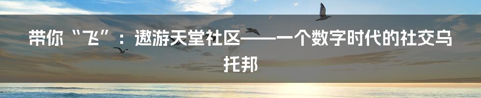 带你“飞”：遨游天堂社区——一个数字时代的社交乌托邦