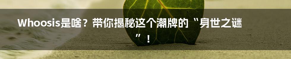 Whoosis是啥？带你揭秘这个潮牌的“身世之谜”！