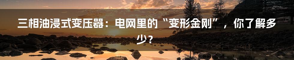 三相油浸式变压器:电网里的“变形金刚”,你了解多少?