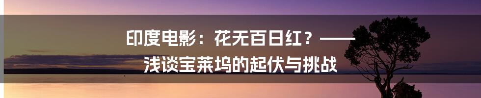 印度电影:花无百日红?—— 浅谈宝莱坞的起伏与挑战