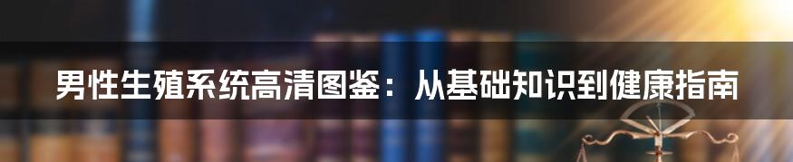 男性生殖系统高清图鉴:从基础知识到健康指南