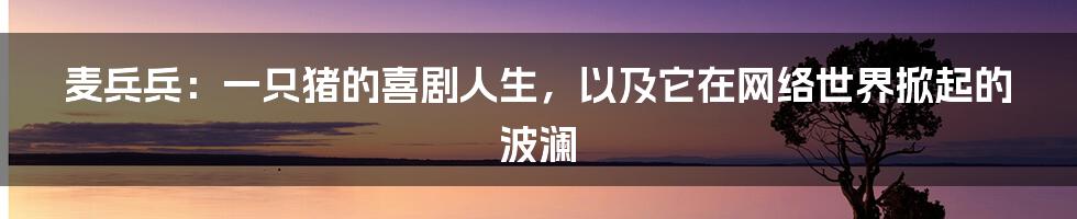 麦兵兵:一只猪的喜剧人生,以及它在网络世界掀起的波澜