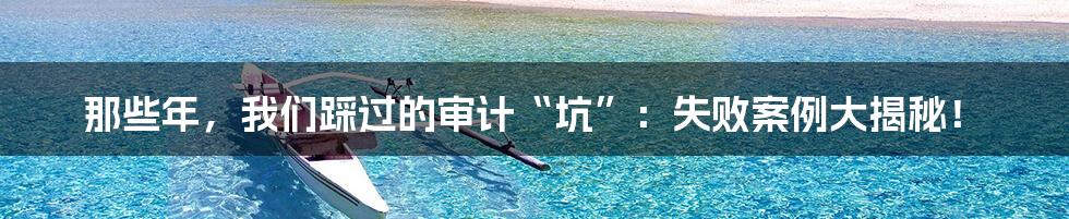 那些年,我们踩过的审计“坑”:失败案例大揭秘!
