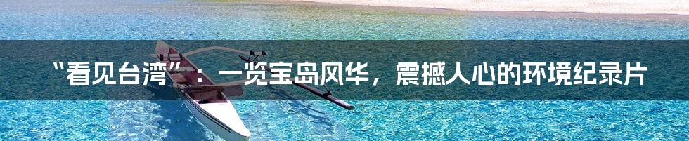 “看见台湾”:一览宝岛风华,震撼人心的环境纪录片