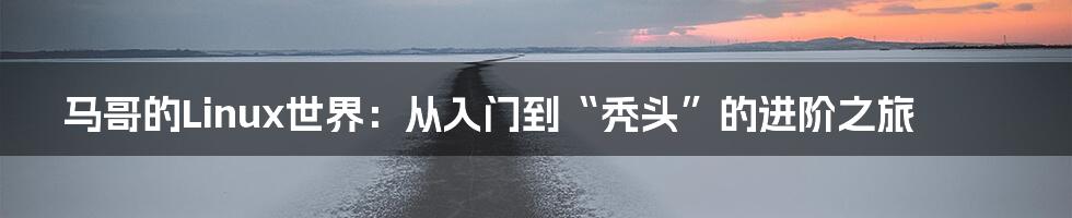 马哥的Linux世界：从入门到“秃头”的进阶之旅